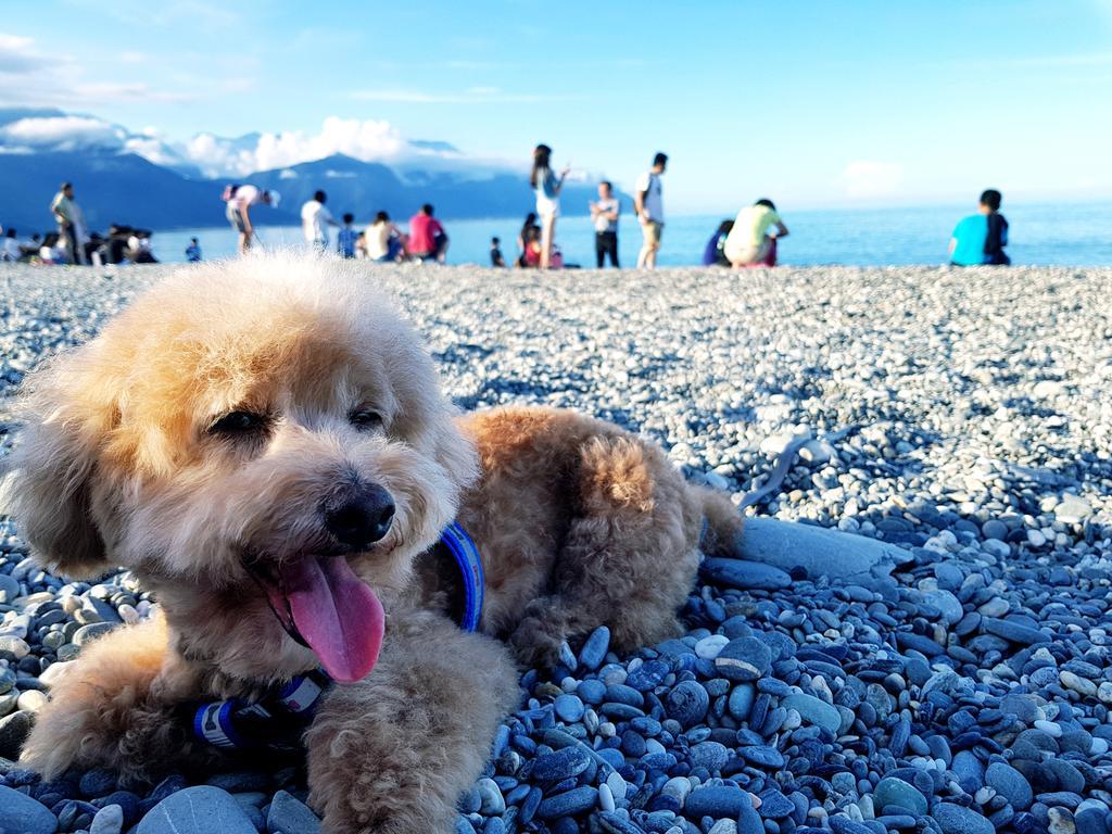 Bearbear Homestay 花蓮市 エクステリア 写真
