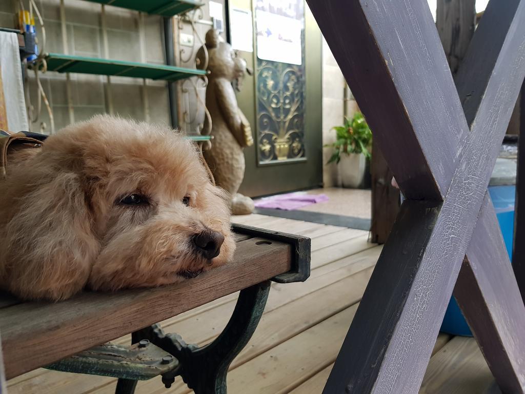 Bearbear Homestay 花蓮市 エクステリア 写真